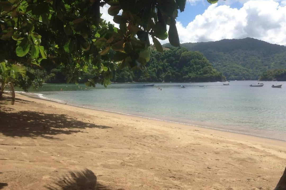 Tobago Fun-多巴哥必去景点