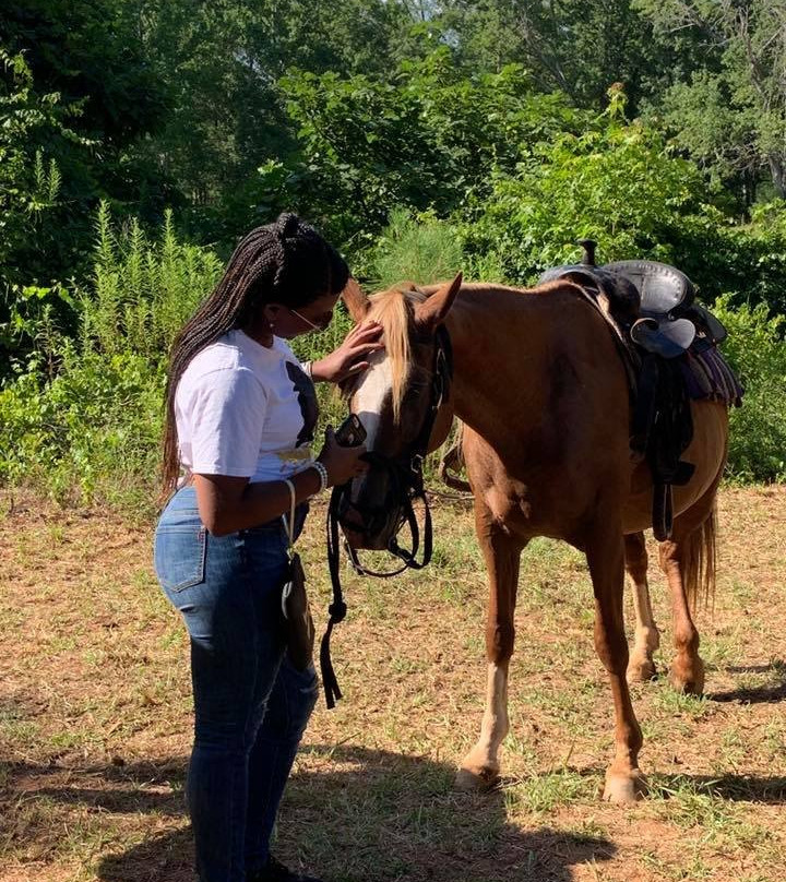 Pure Horse Play-Griffin必去景点