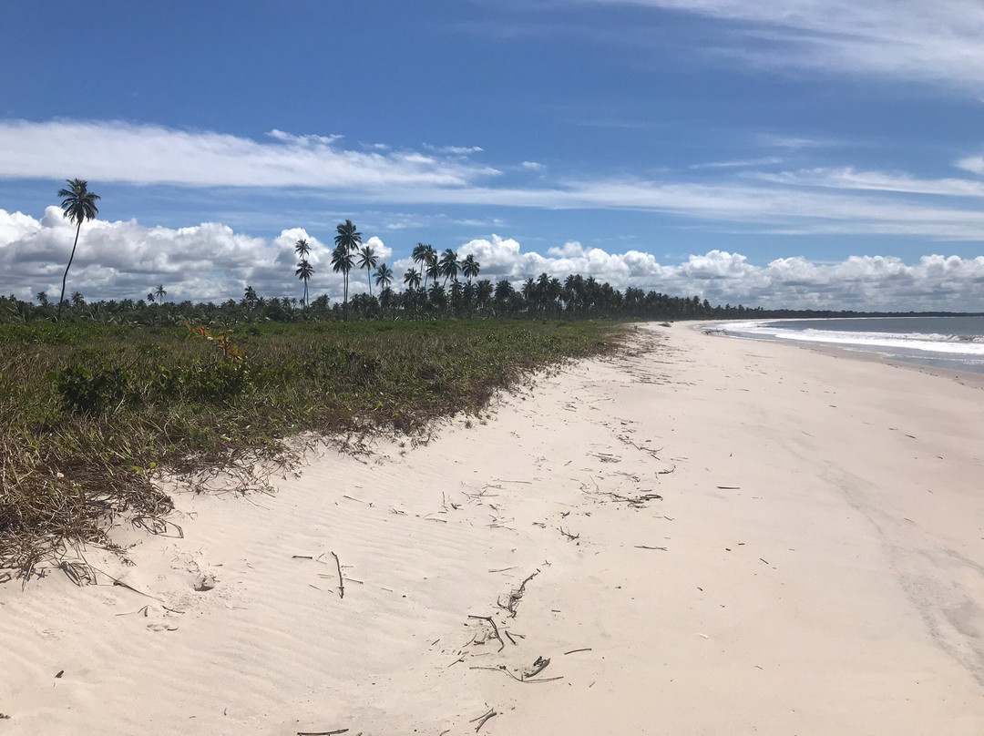 Ponta do Curral Beach-Valenca必去景点