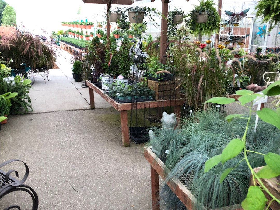 Cindy's-Kingsville必去景点