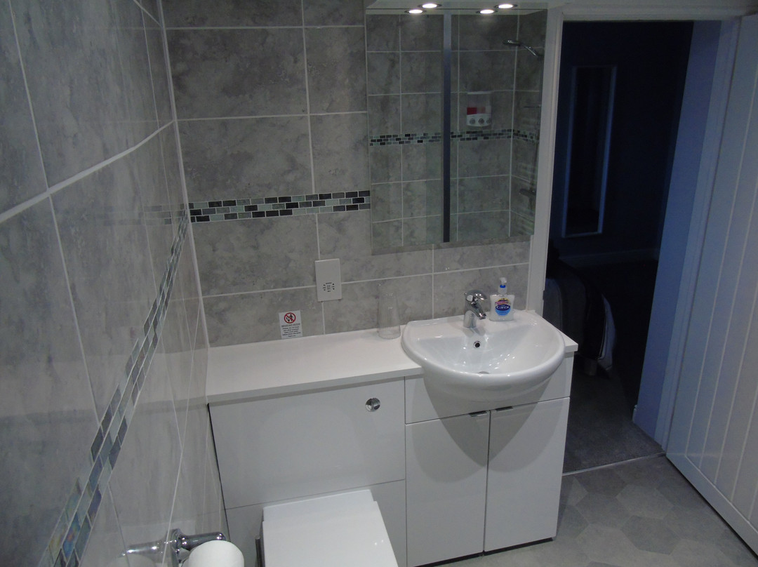 The Blackbirds主图