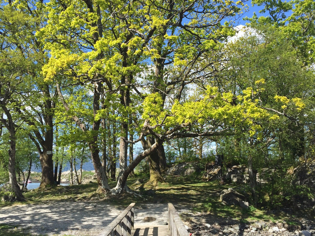 Skanevik Fjordhotell主图