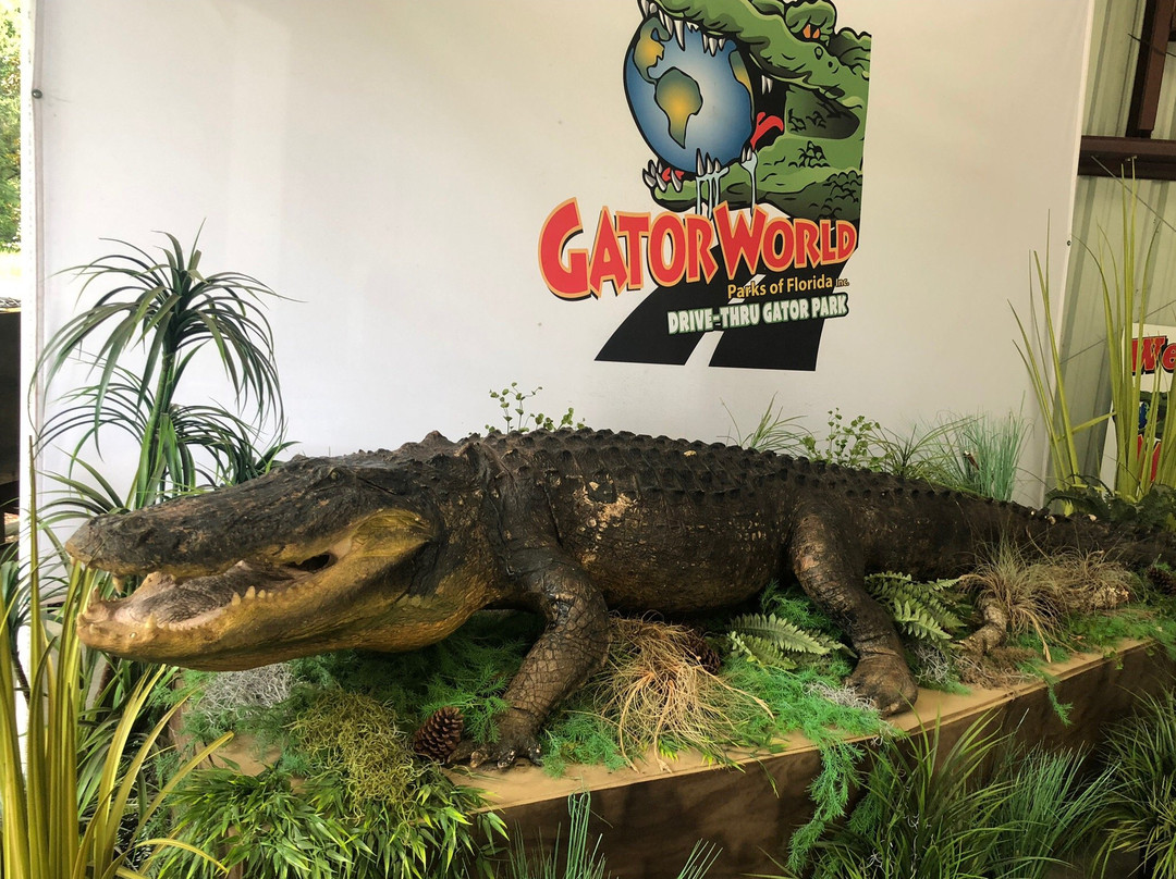 GatorWorld Parks of Florida Inc.景点图片