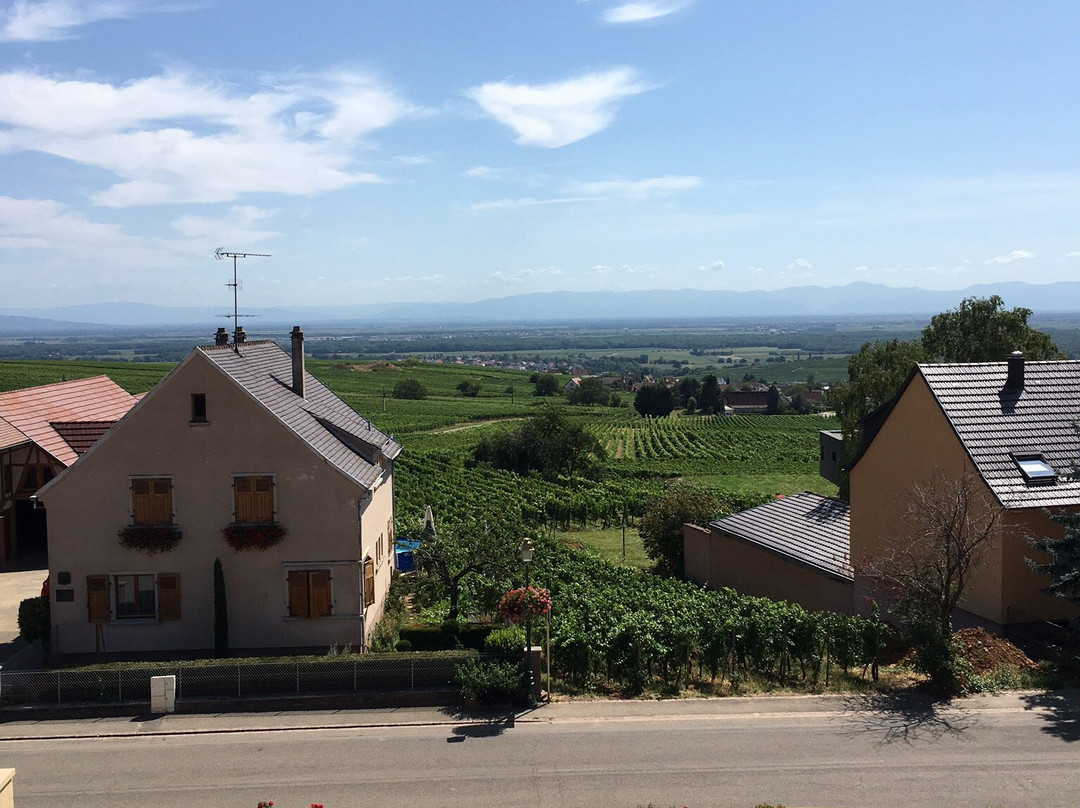 CATTIN - Grands Vins & Cremants d'Alsace景点图片
