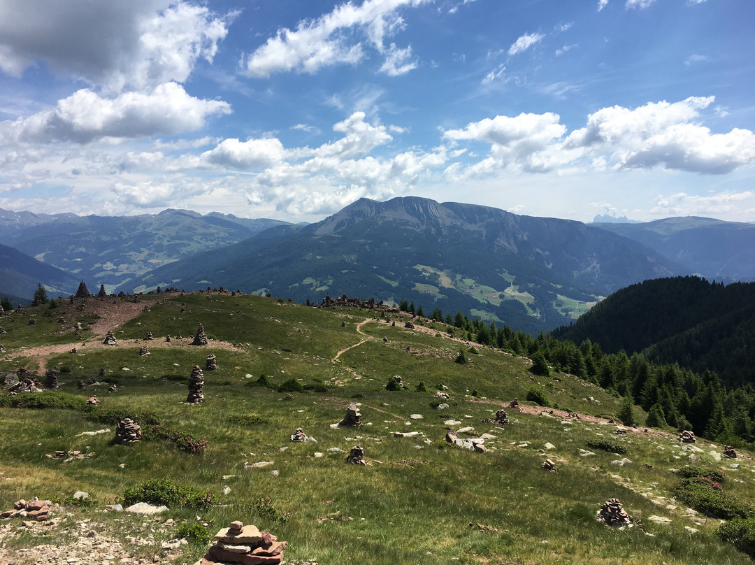 Terra - The Magic Place主图