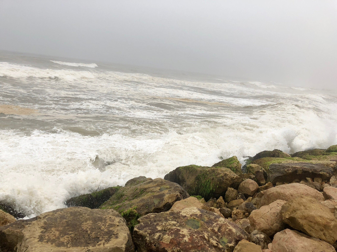 Oman Day Tours-塞拉莱必去景点
