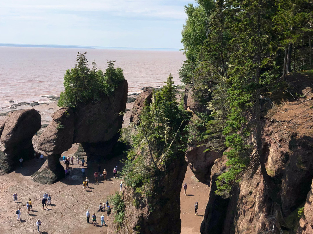 The Artisan Suites主图