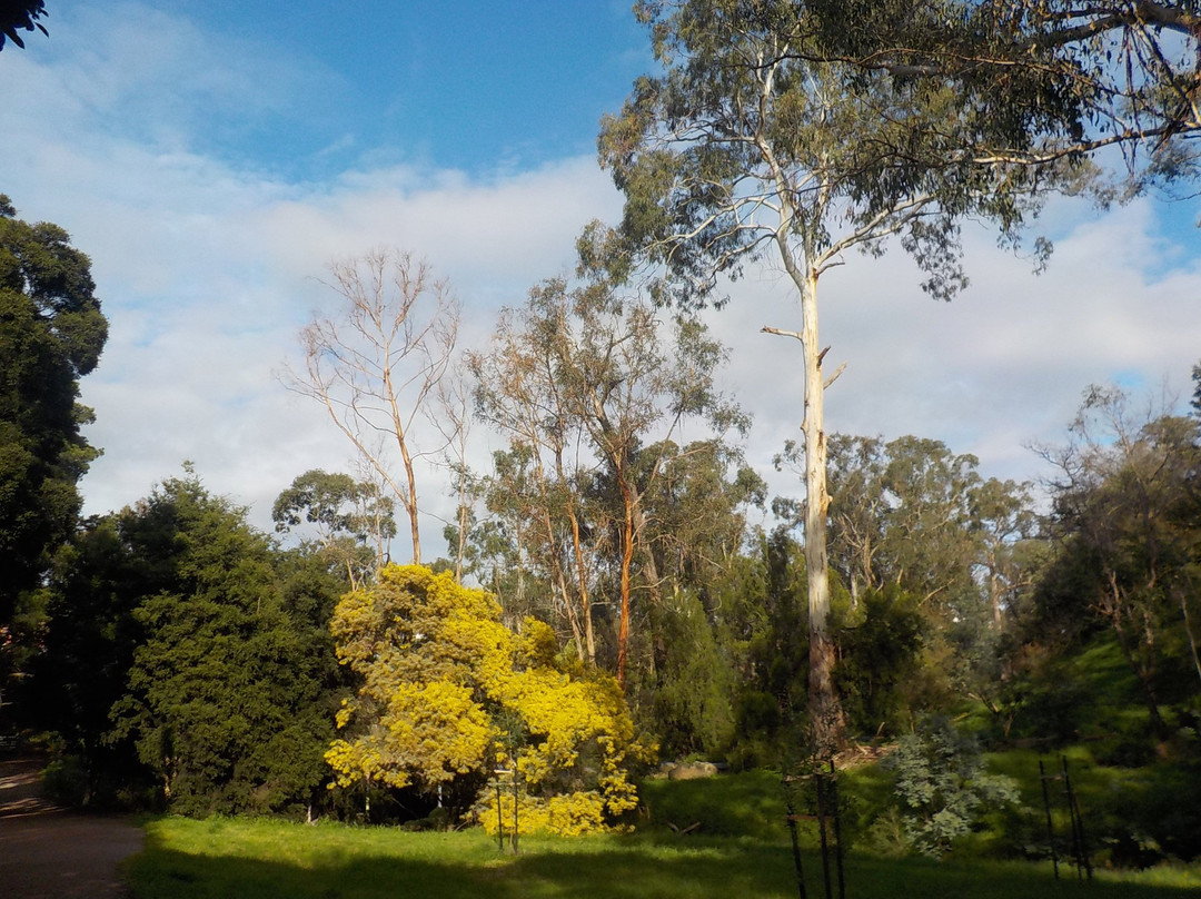 Mullum Mullum Creek Trail景点图片