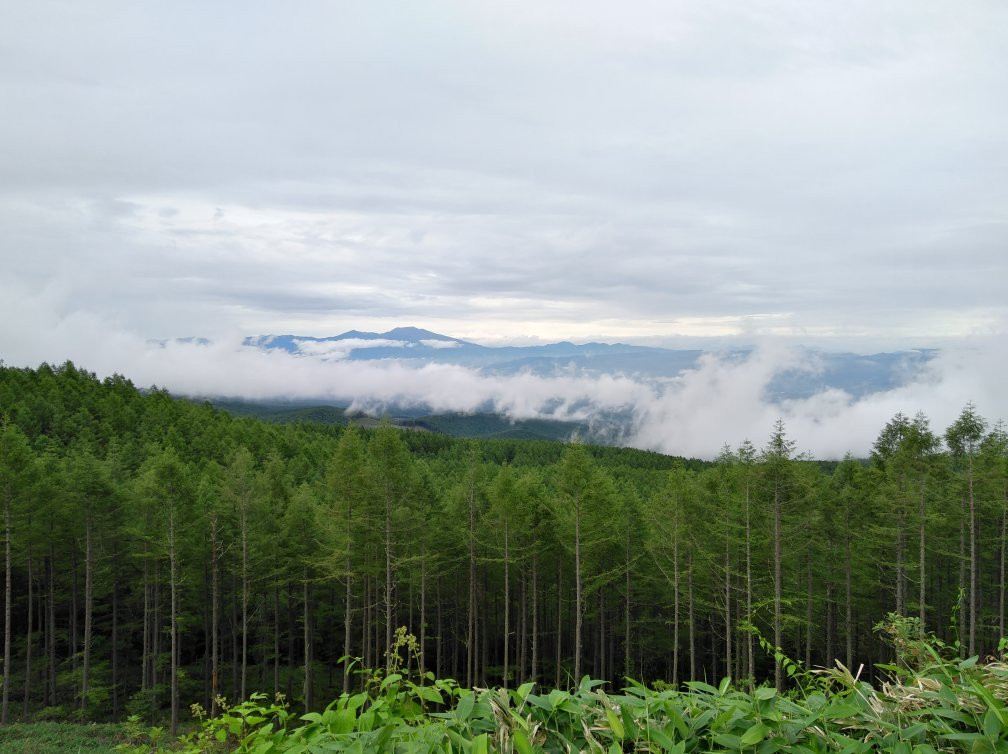 Merchen Highway-茅野市必去景点