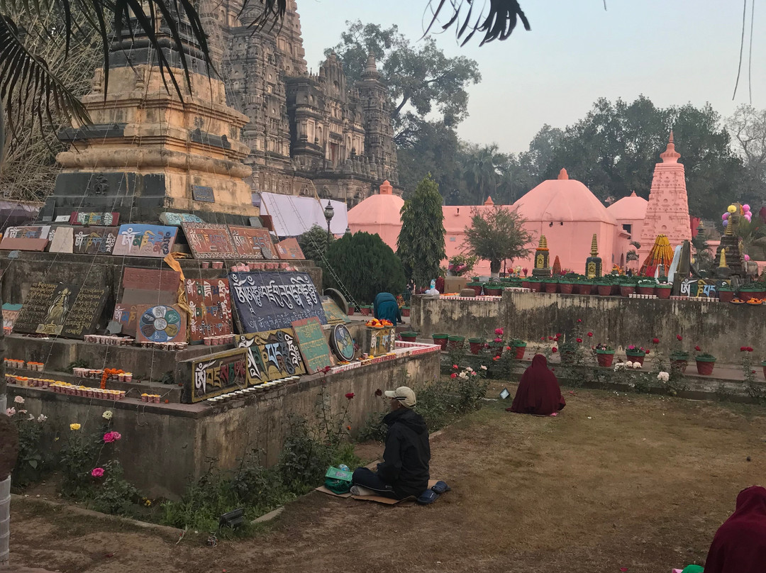Bodhi Tree-菩提伽耶必去景点