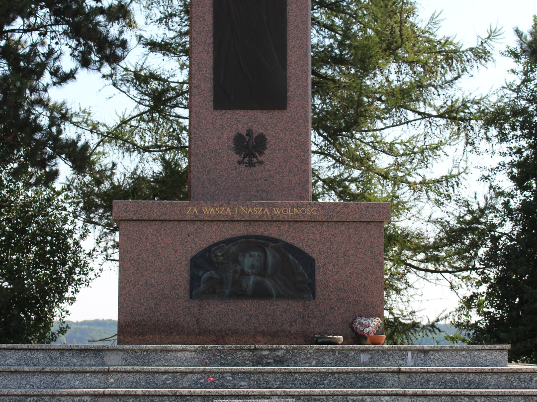 Memorial aux Volontaires Polonais景点图片