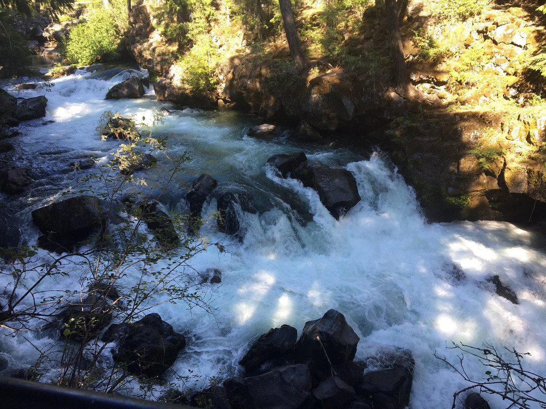 Natural Bridge Viewpoint-Prospect必去景点