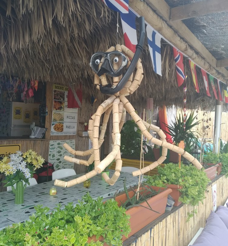Octopus Buceo景点图片