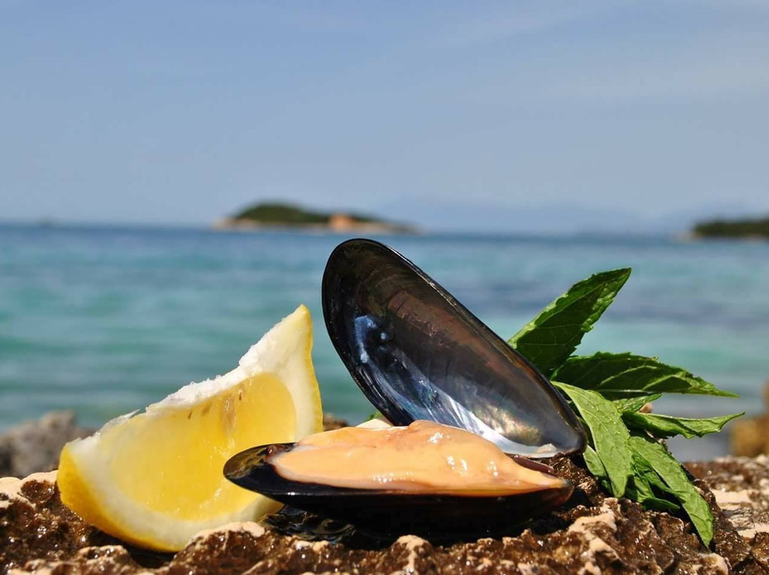 Mussel Tour-Ksamil必去景点