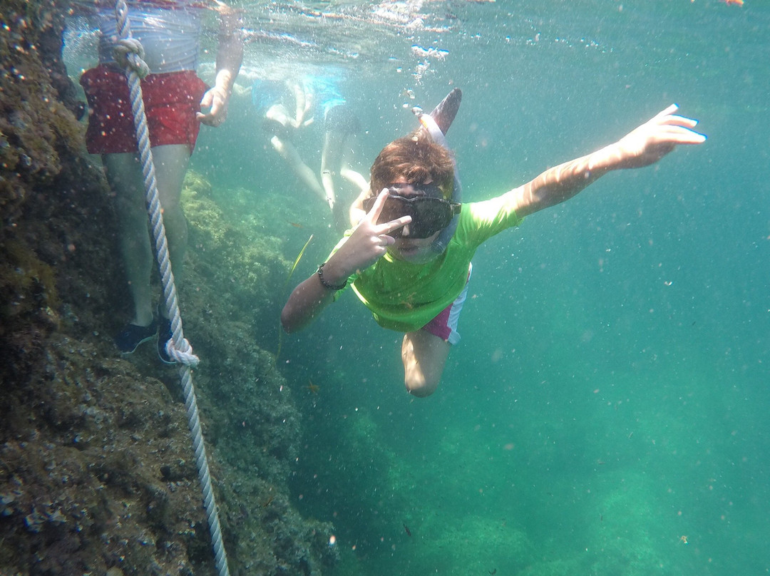 The Challenge Mallorca-阿库迪亚必去景点