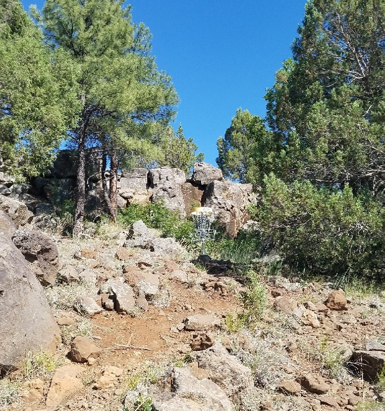 Show Low Bluff Trail-肖洛必去景点
