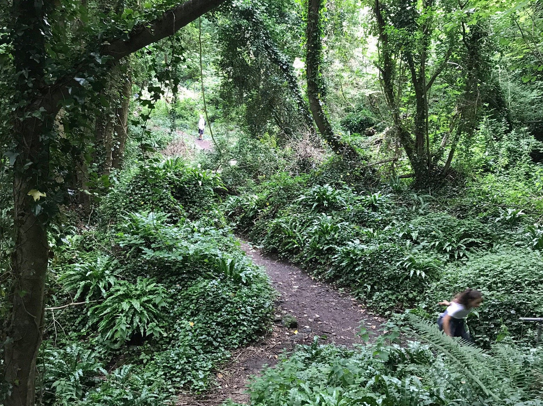 Bonchurch Landslip-Bonchurch必去景点