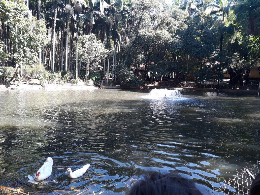 Parque Da Água Branca景点图片