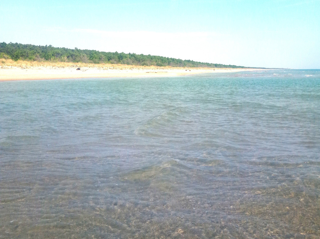 Spiaggia Libera Lido di Classe景点图片