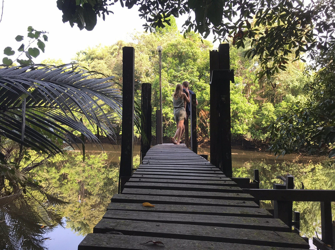 The Kebun主图