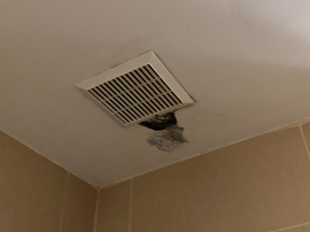 舒适套房北卑尔根主图