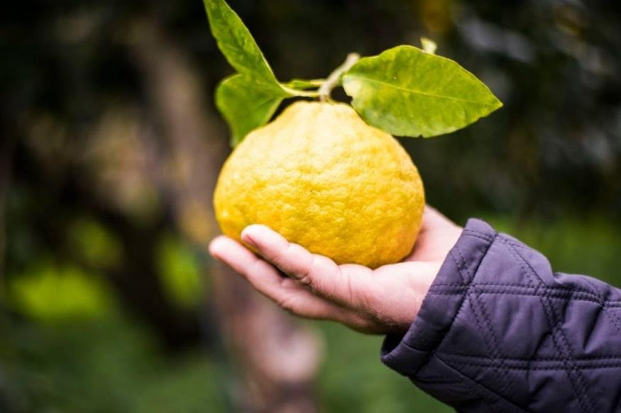 ANYWAYS EXPERIENCES-罗马必去景点