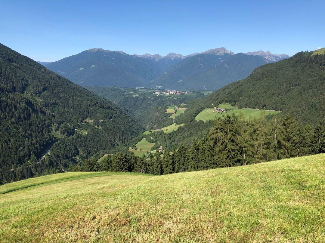 Plansol Hof