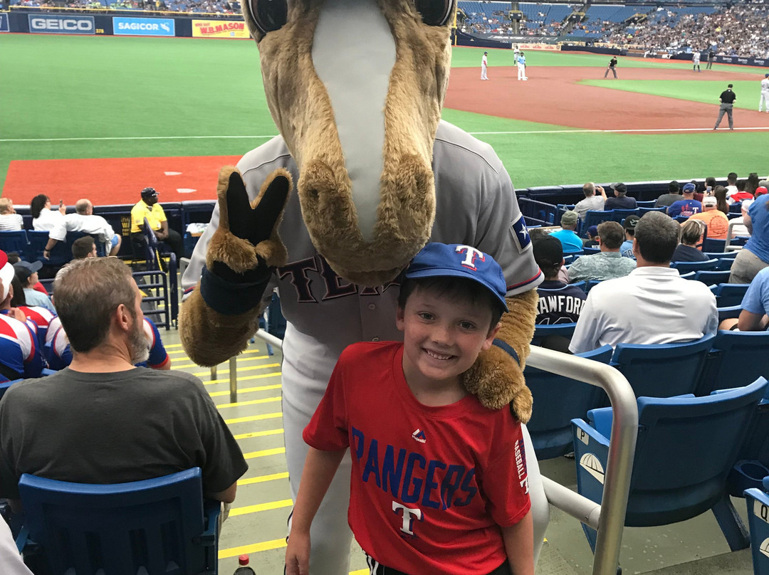 Tropicana Field-圣彼德斯堡必去景点