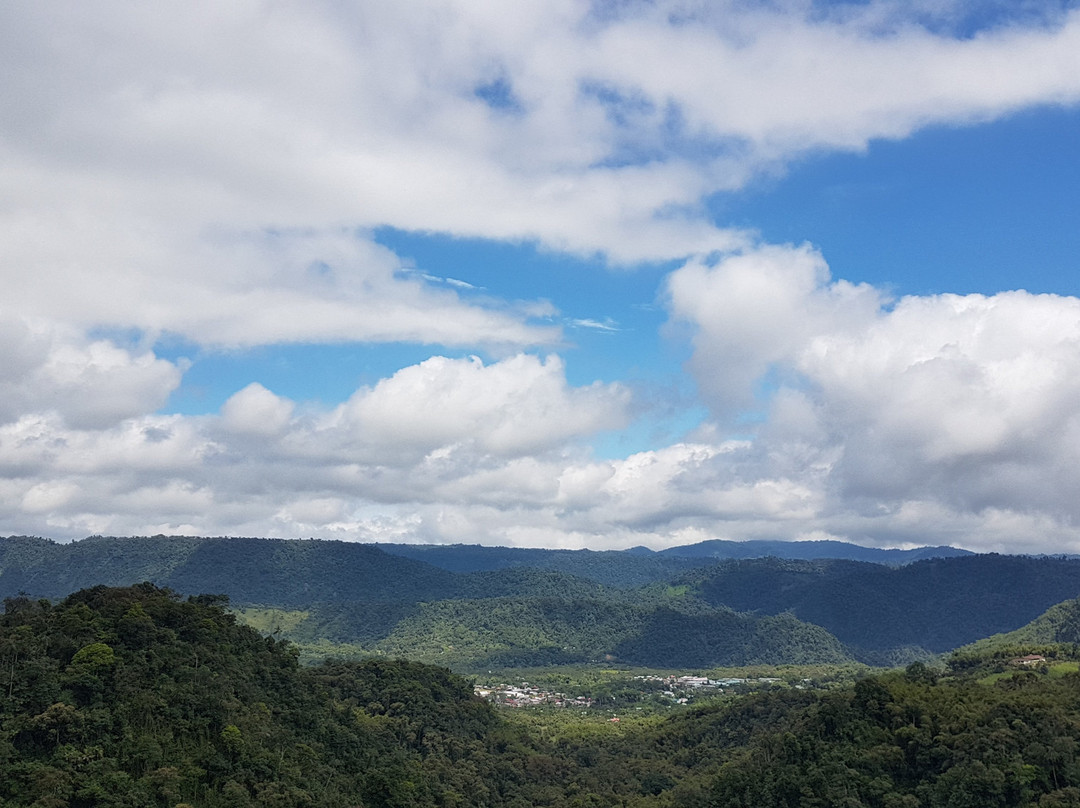 Yellow House Hiking Trails景点图片