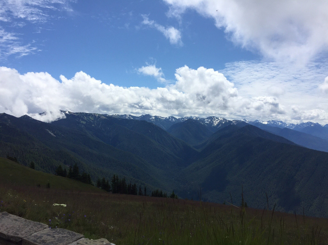 Olympic National Park Visitor Center景点图片
