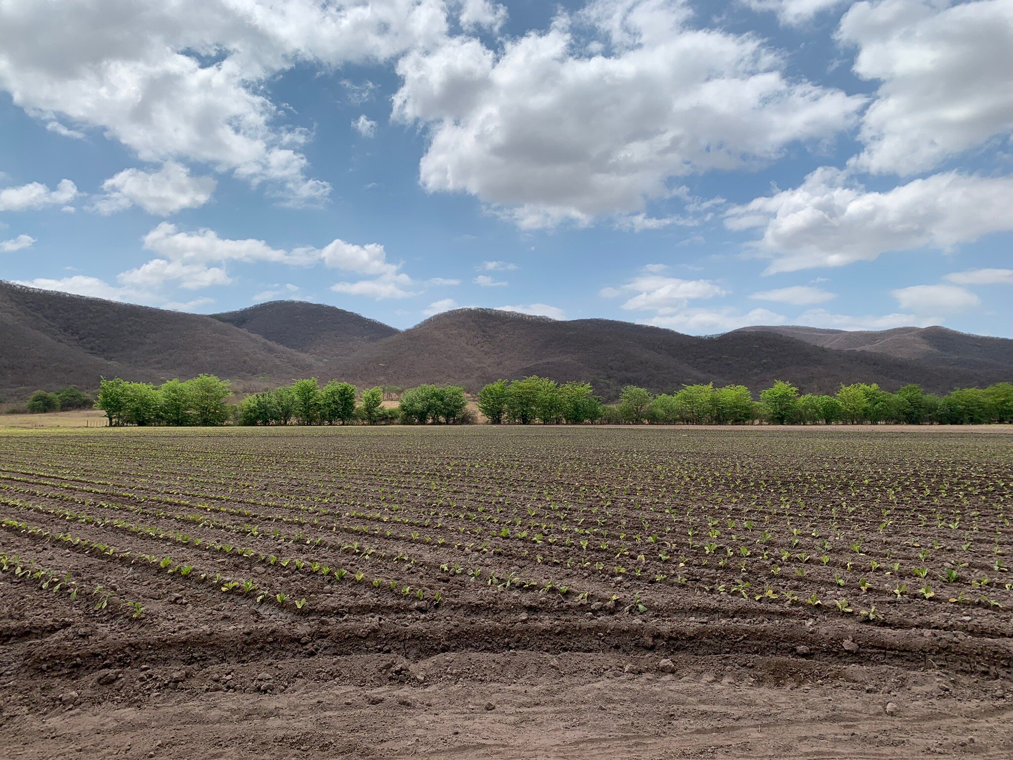 Finca La Secundina-官方