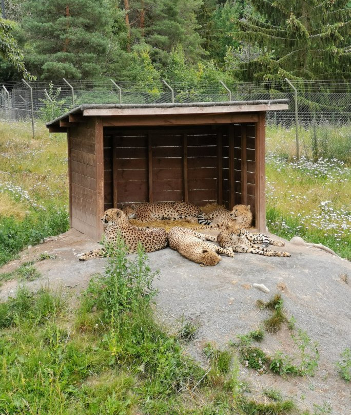 Parken Zoo景点图片