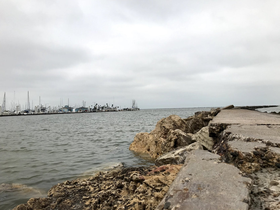 Corpus Christi Municipal Marina-科珀斯克里斯蒂市必去景点