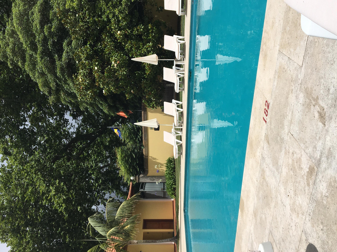 Sofia`s Island Wonders Tour by StoryTell-马德拉群岛必去景点