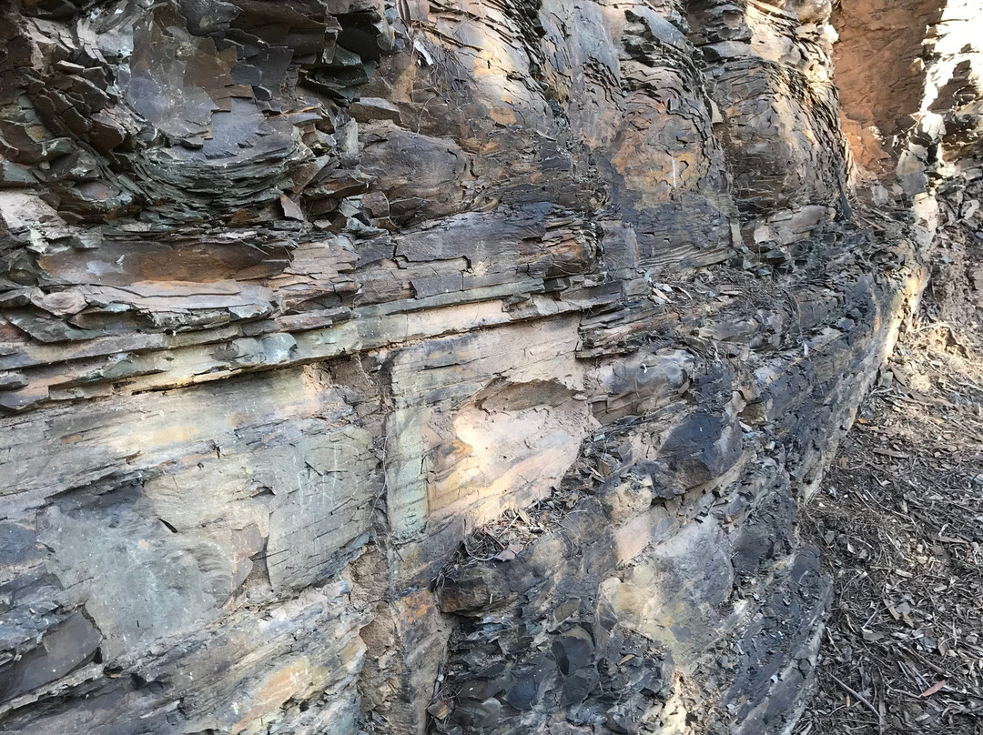 Quarry Reserve-Briagolong必去景点