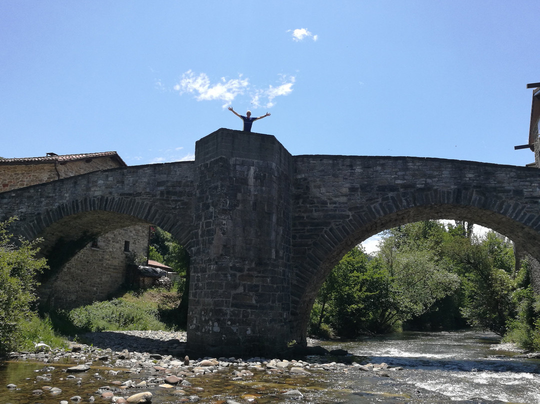 Puente de la Rabia-Zubiri必去景点