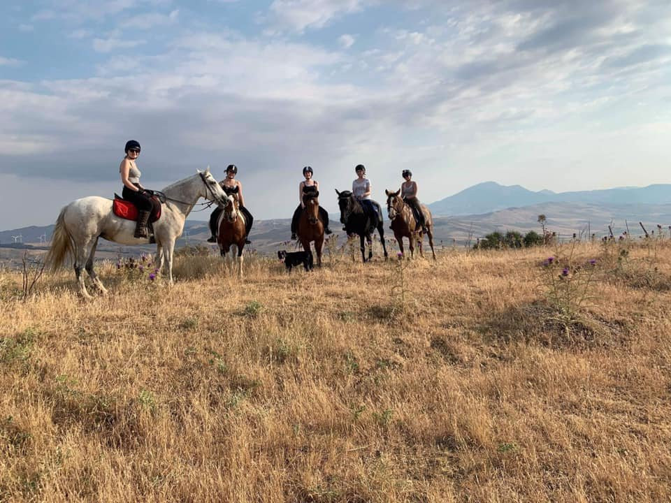 Horse Riding at Pippa's Paddock景点图片