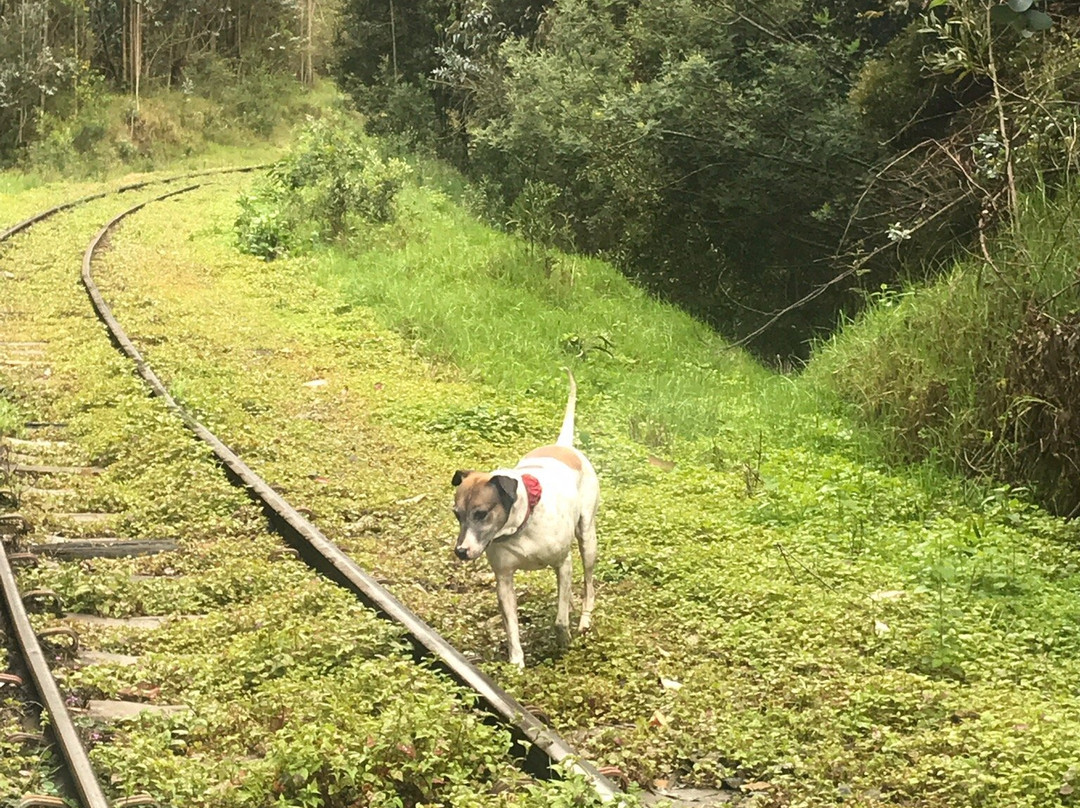 Cinco Tierras Hotel Pizzeria Suesca主图