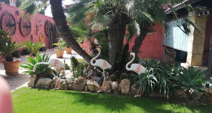 富鲁米尼别墅酒店主图