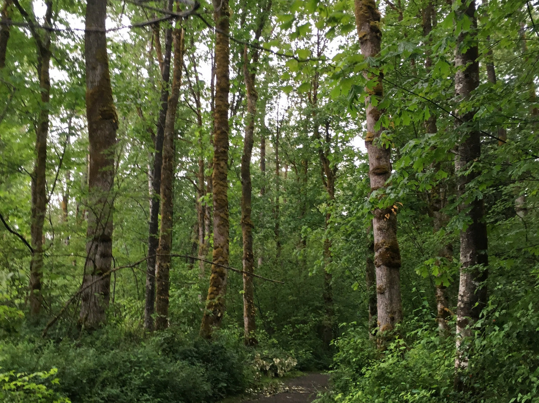 Al Borlin Park-Monroe必去景点