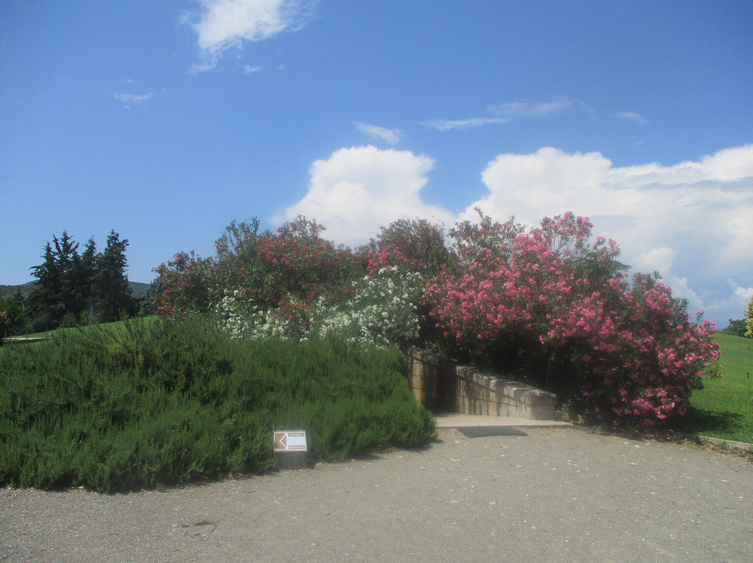 韦尔吉纳-马其顿地区必去景点