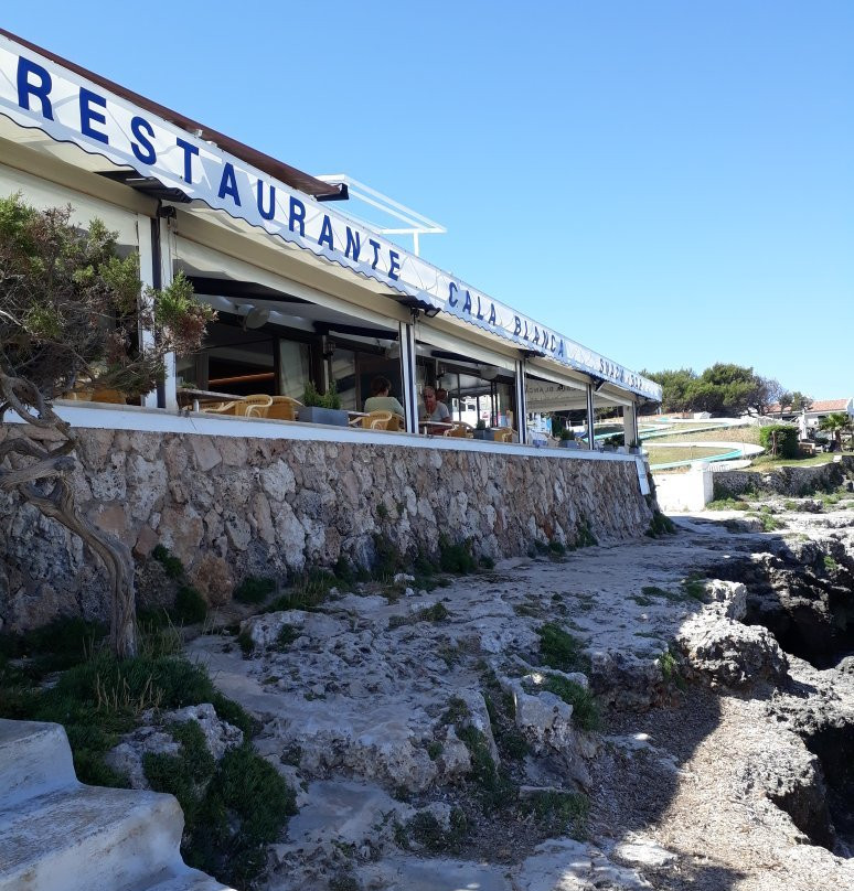 Dive Center Cala Blanca景点图片