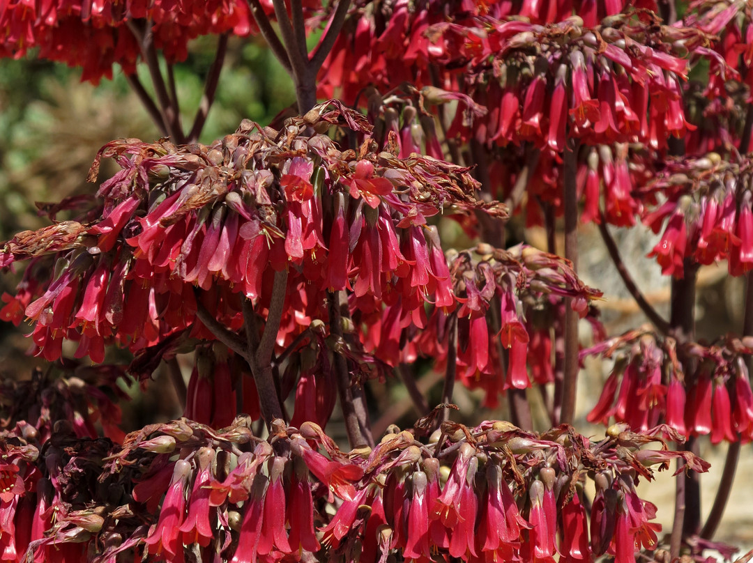 Puerto De Cala Figuera-Cala Figuera必去景点