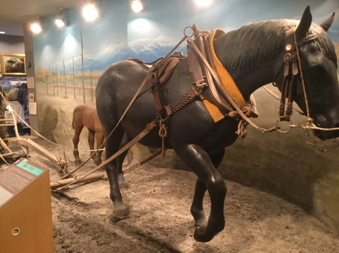Horse Museum-带广市必去景点