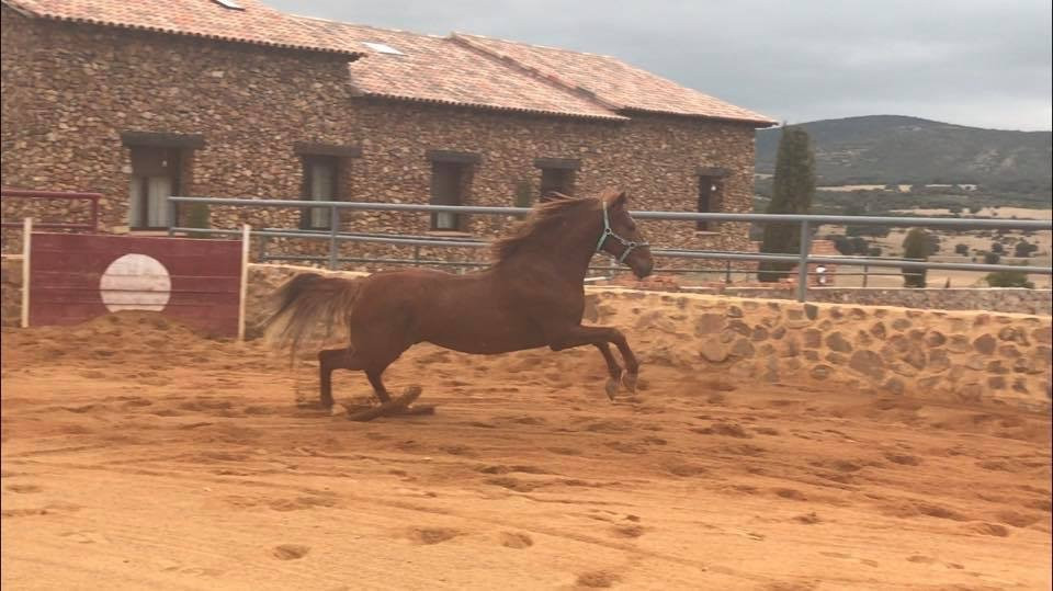 Museo de la Moto y El Coche Clasico-Hervas必去景点