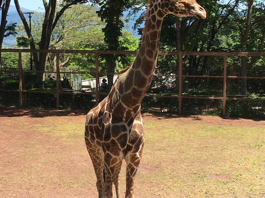 Nagano Chausuyama Zoo-长野县必去景点