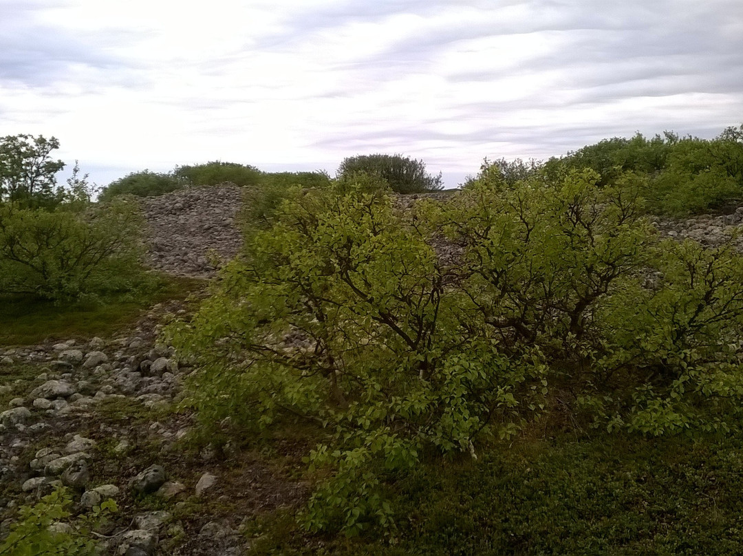 Labyrinths of Big Zayatskiy Island景点图片