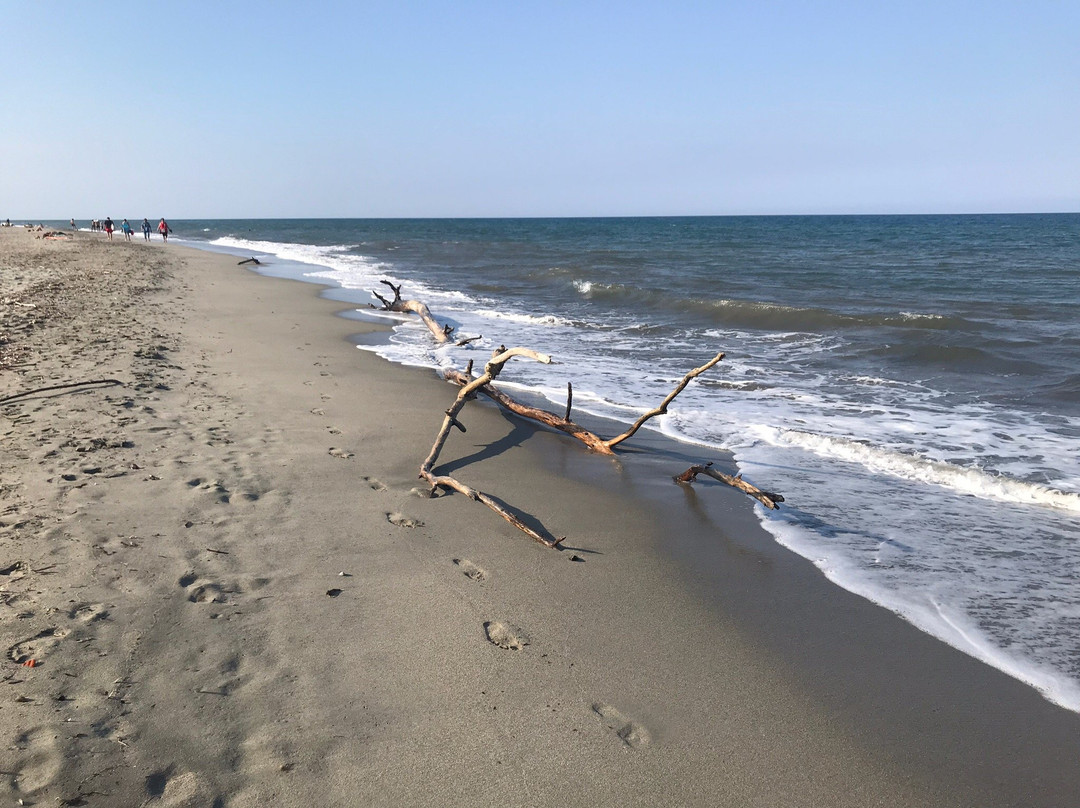 Mariana Plage Le domaine主图