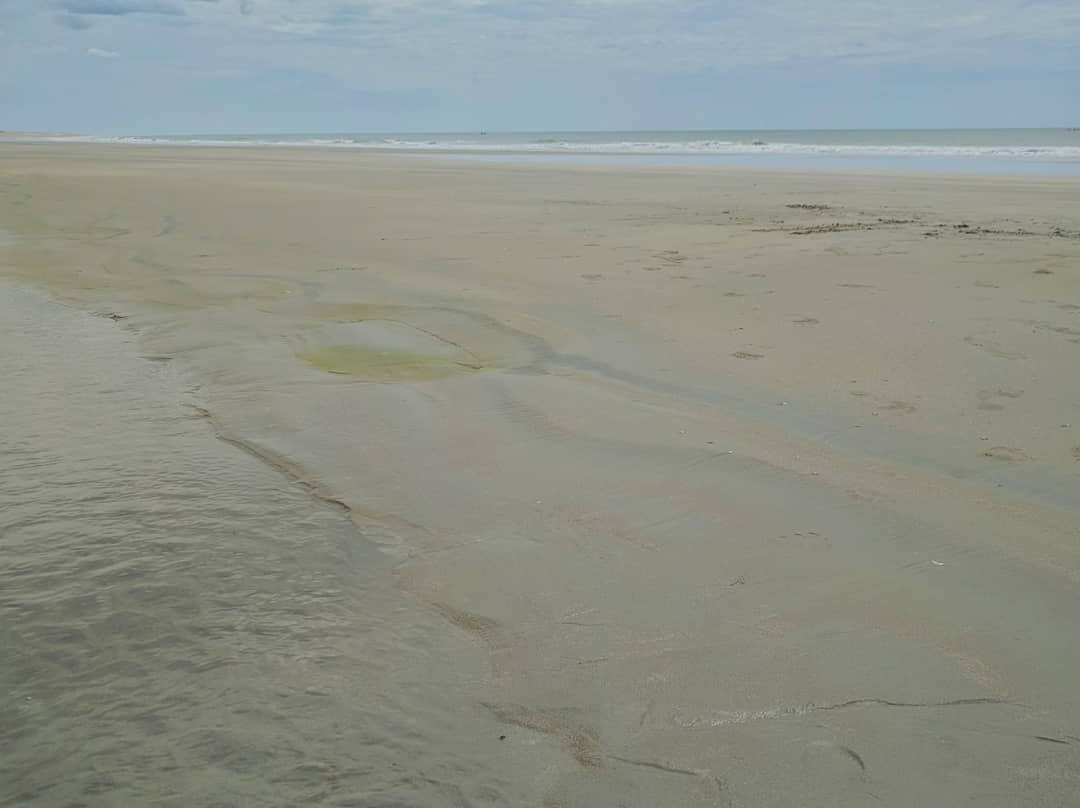 Arrombado Beach景点图片