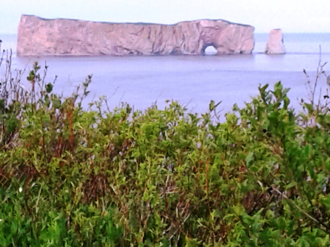 The Capitain's B&B主图